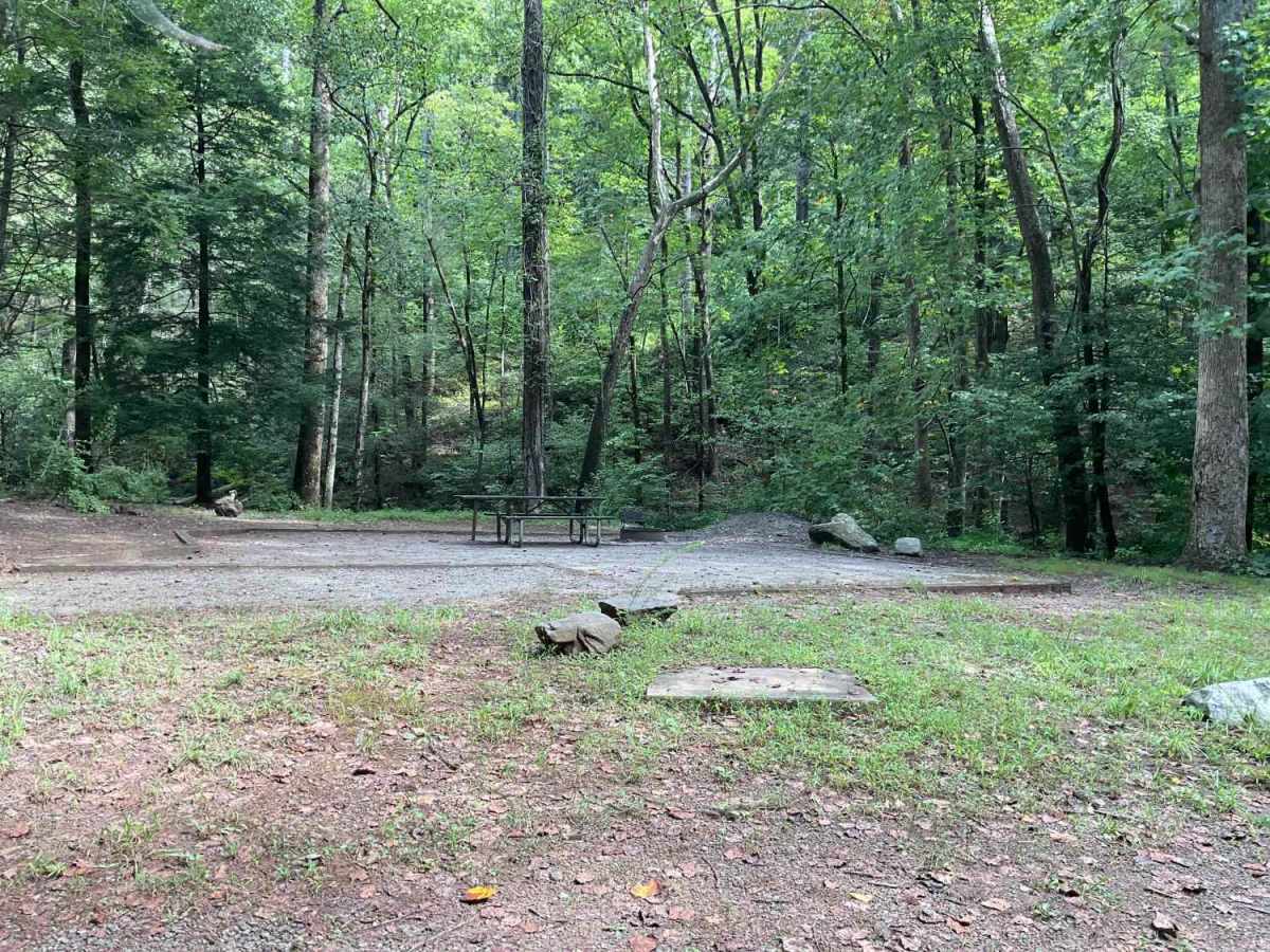 FS-44A Upper Low Gap Creek photo 4