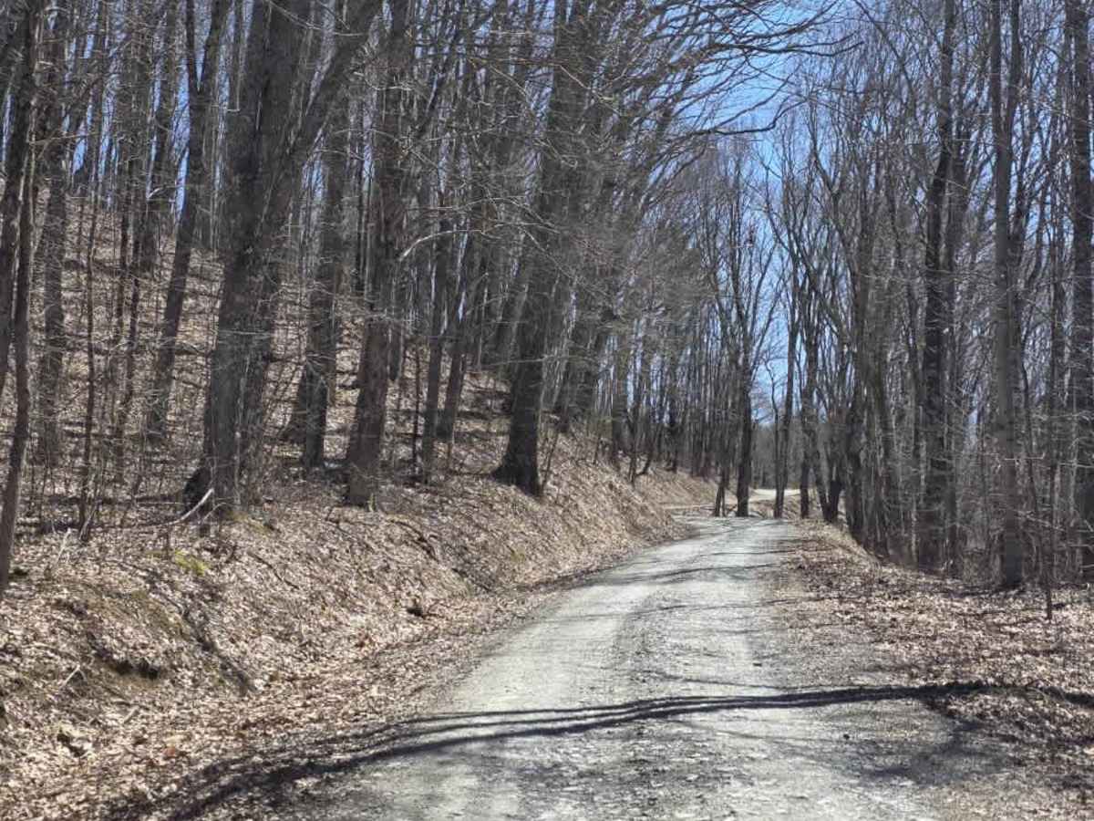Laurel Fork photo 5