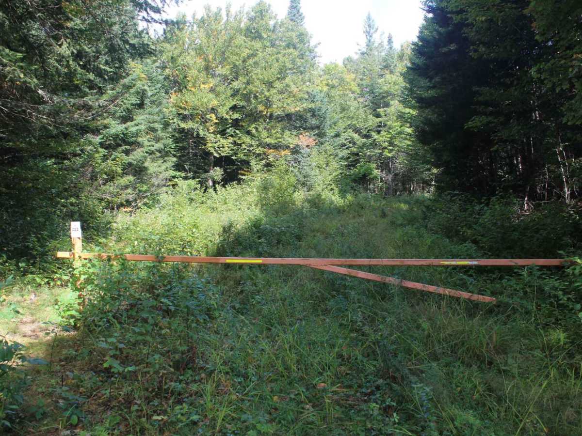 Falkenham Trail photo 6