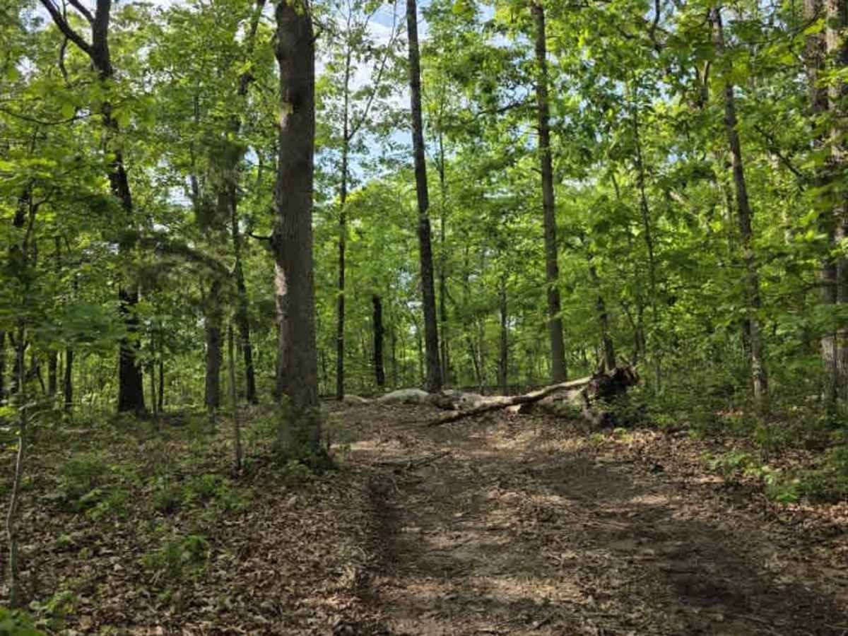 Dozer Pass  trail photo