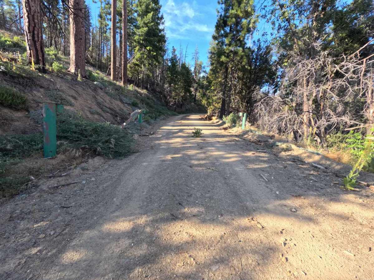 Trough Ridge - FS 24N05 trail photo