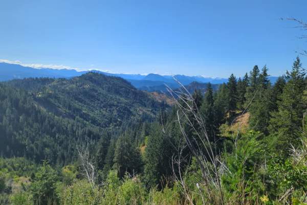 Moon Canyon Road