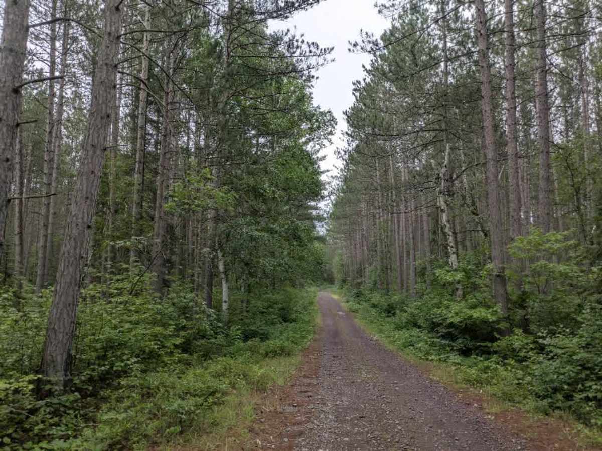Bandana Trail photo 2