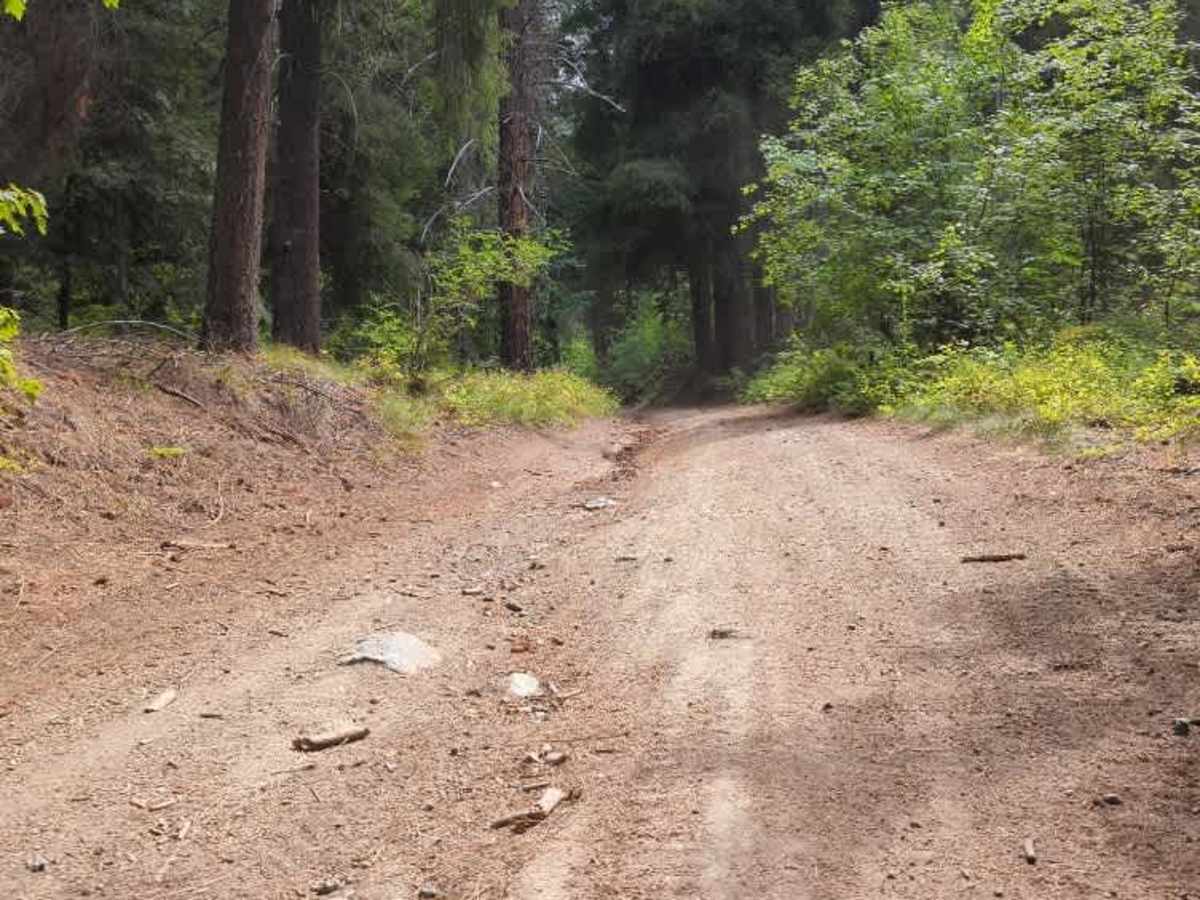 Merry Canyon Road photo 5