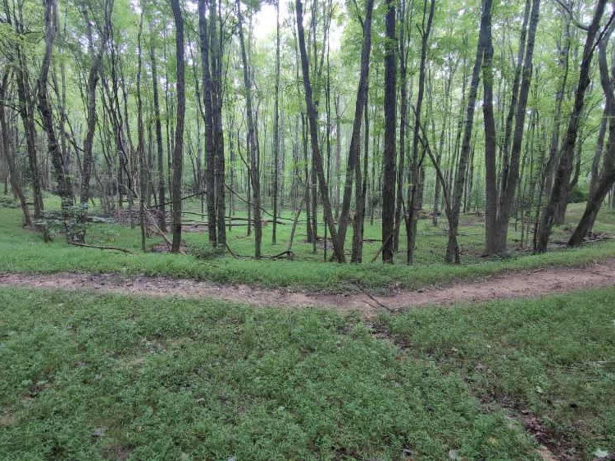 Virginia Highlands Horse Trail Spur B photo 3