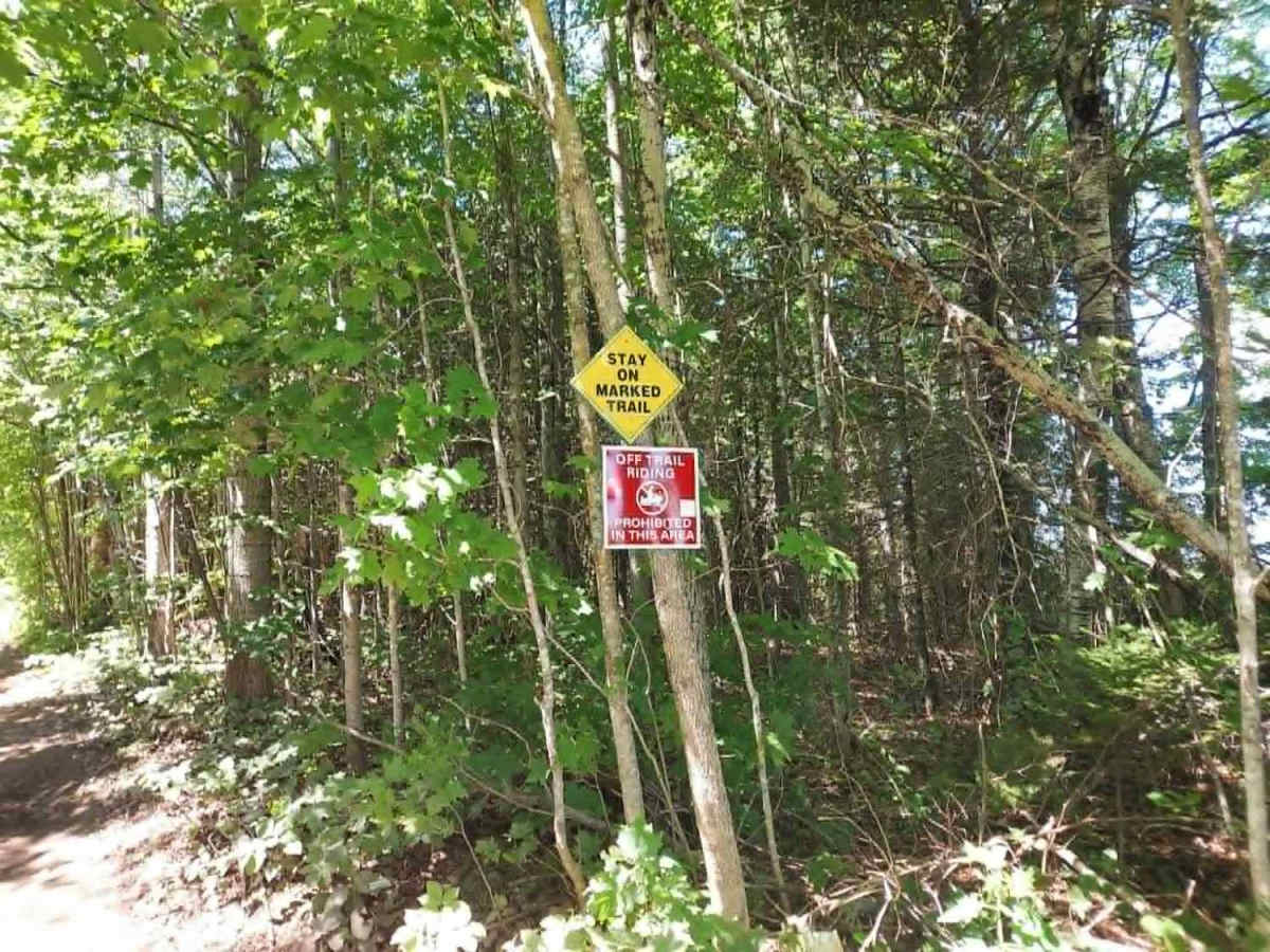 Crum Memorial Trail photo 5