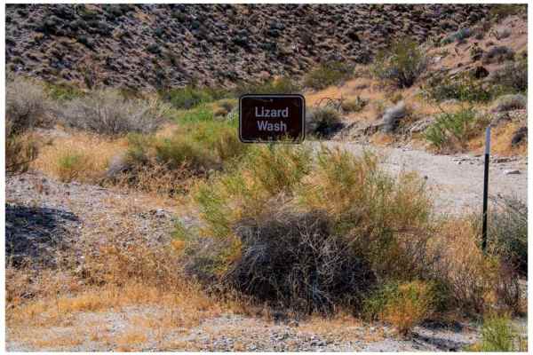 Lizard Canyon