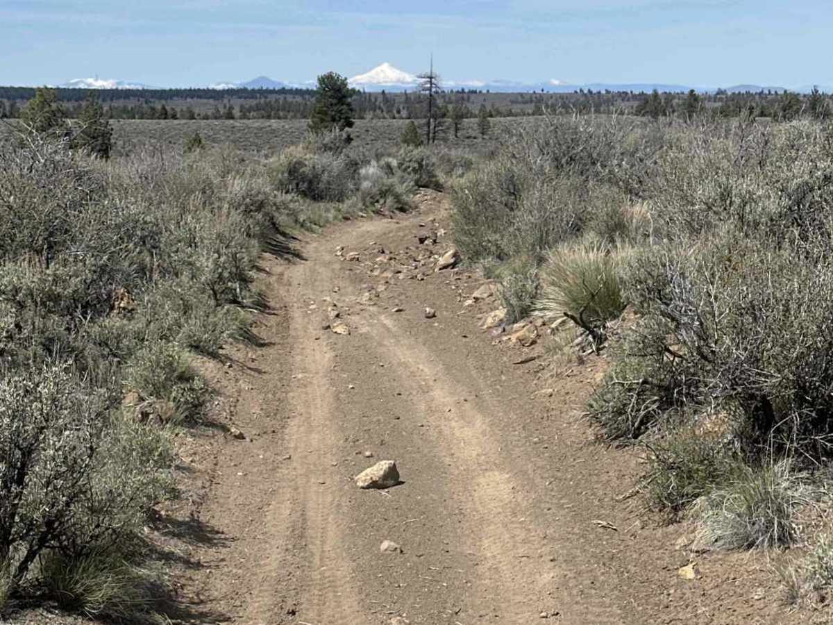 East Fort Rock OHV Trail 25 photo 4