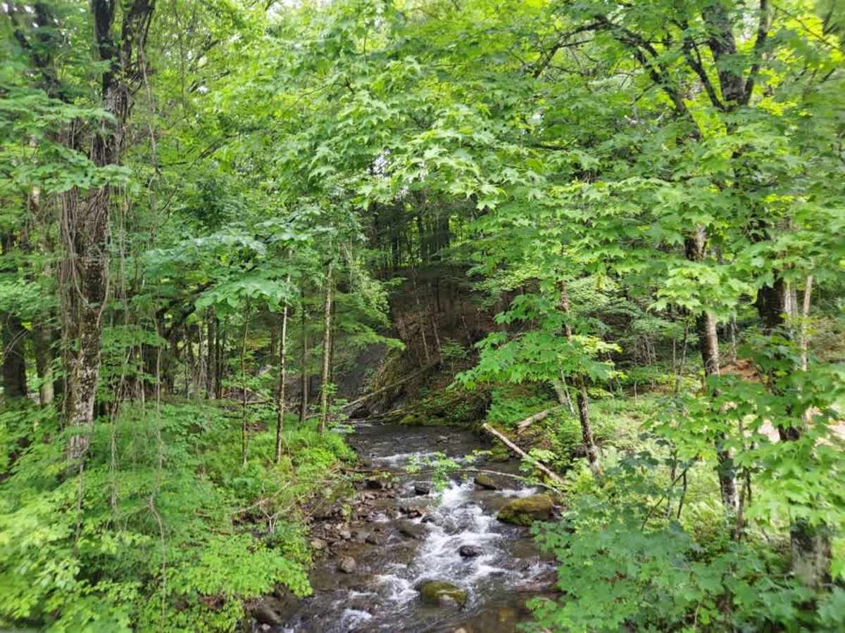Fay Brook Road photo 5