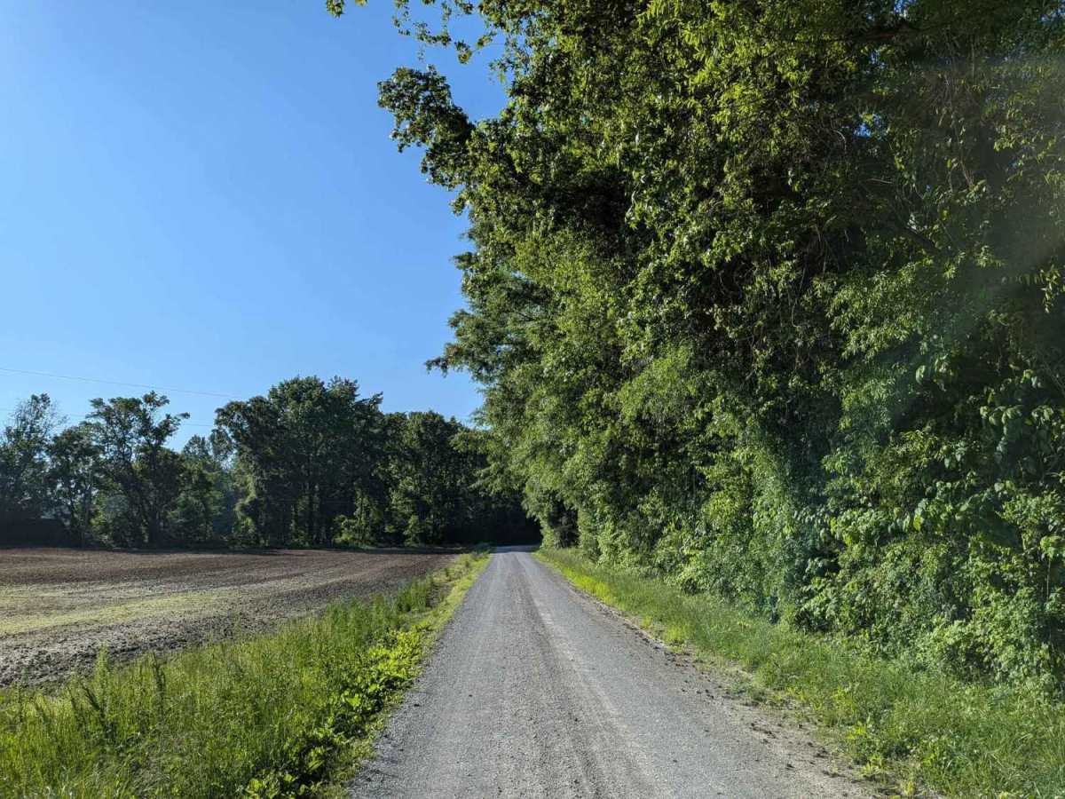 Counts Road photo 4
