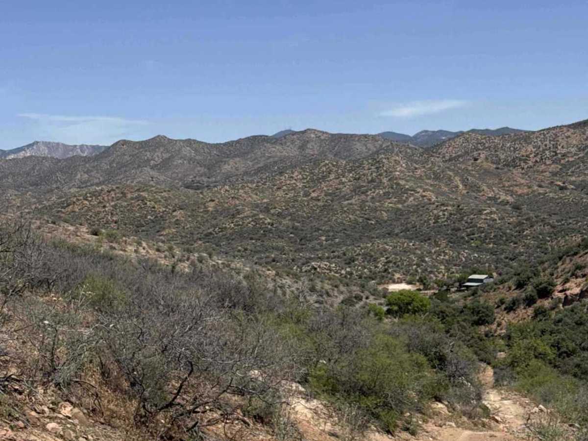 BLM 30022 photo 6