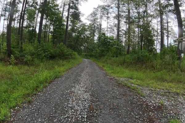 Sugar Hill Road