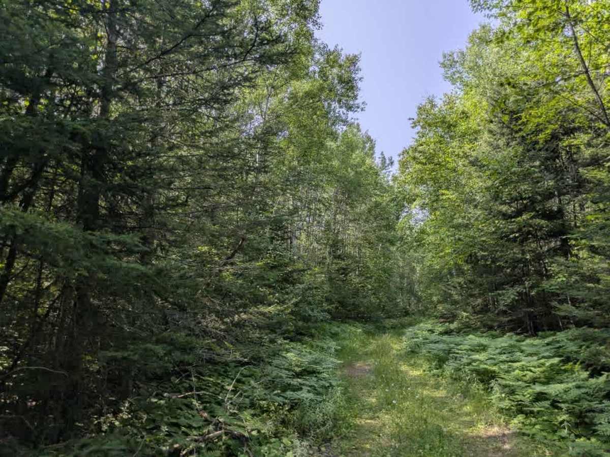 Pocket Lake photo 3