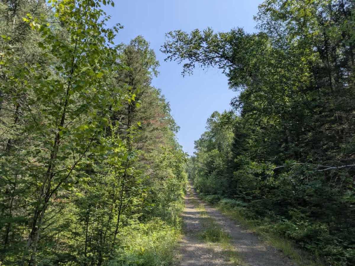 Pit Lake Spur B photo 6