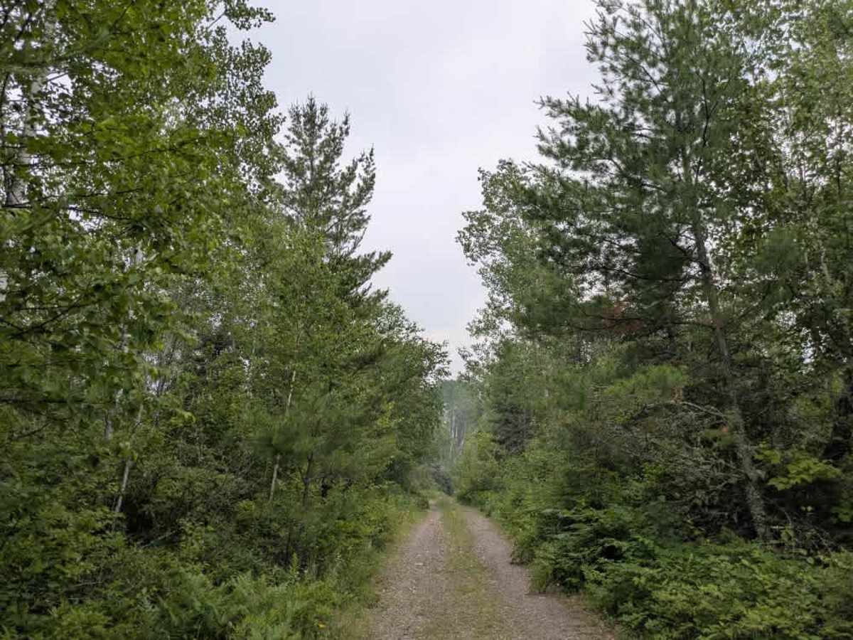 McDougal Lake Spur photo 2