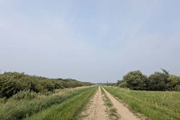 Mertz Road