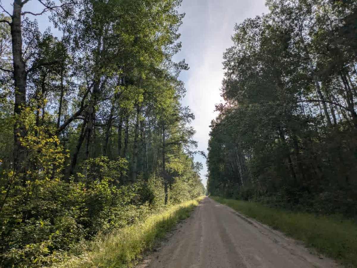 Stoney Corners Trail trail photo