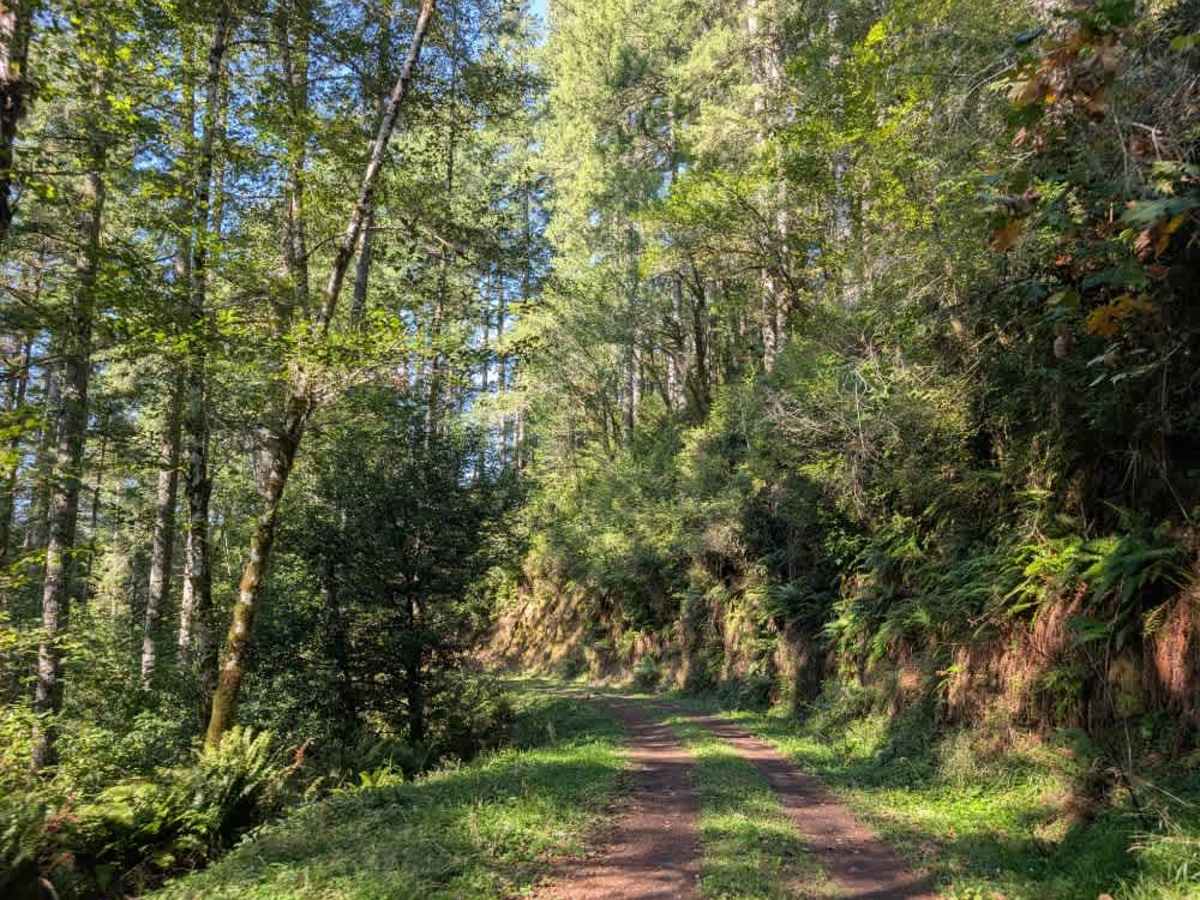 2400 trail photo