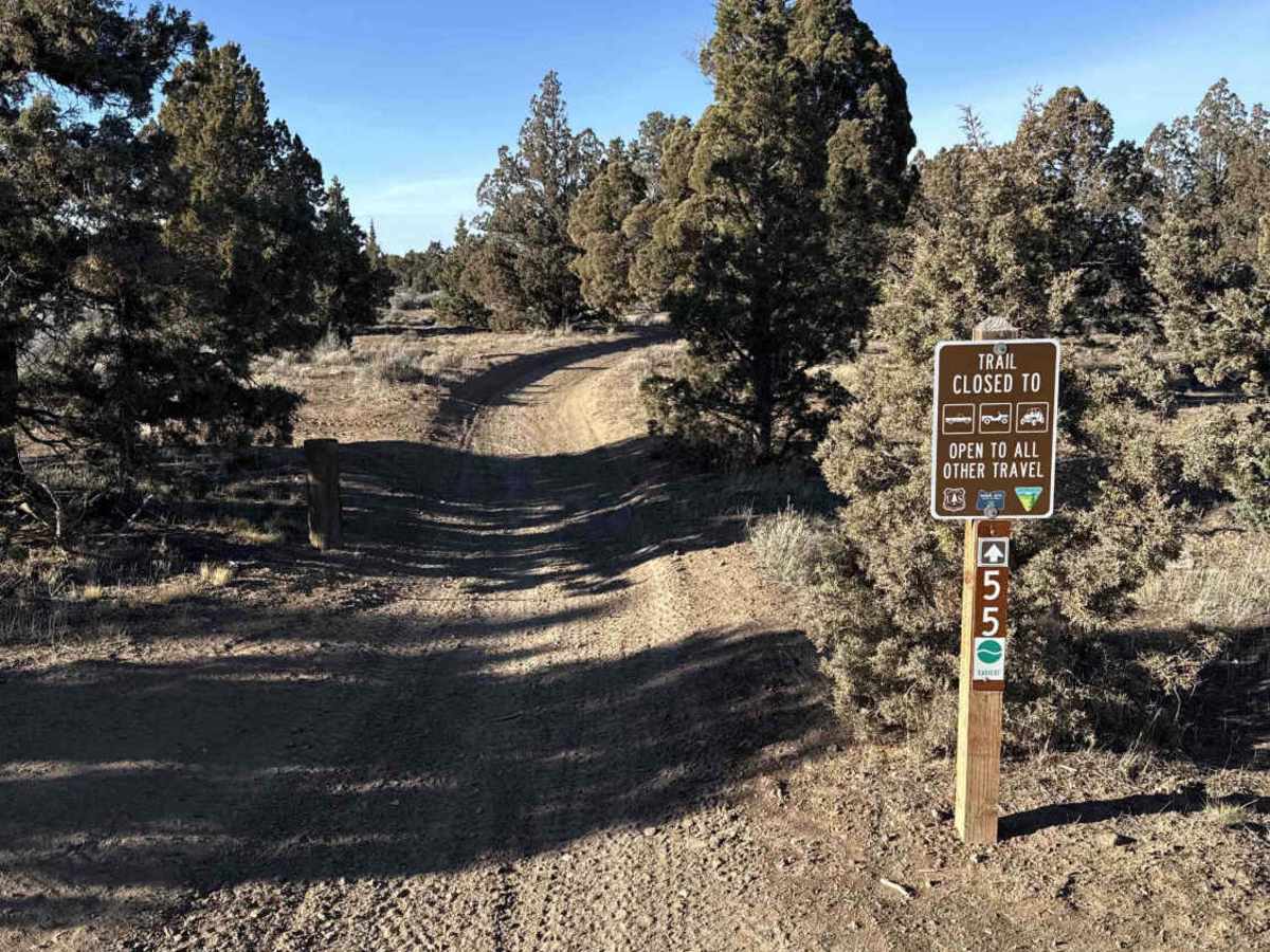 Millican Plateau OHV Trail 55 trail photo