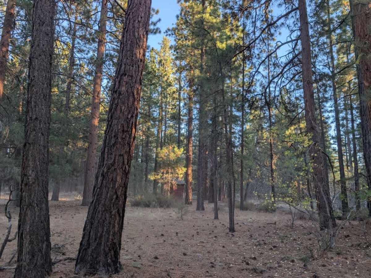FS 32N84Y, California | Off-Road Trail Maps, Difficulty, Trail Status ...