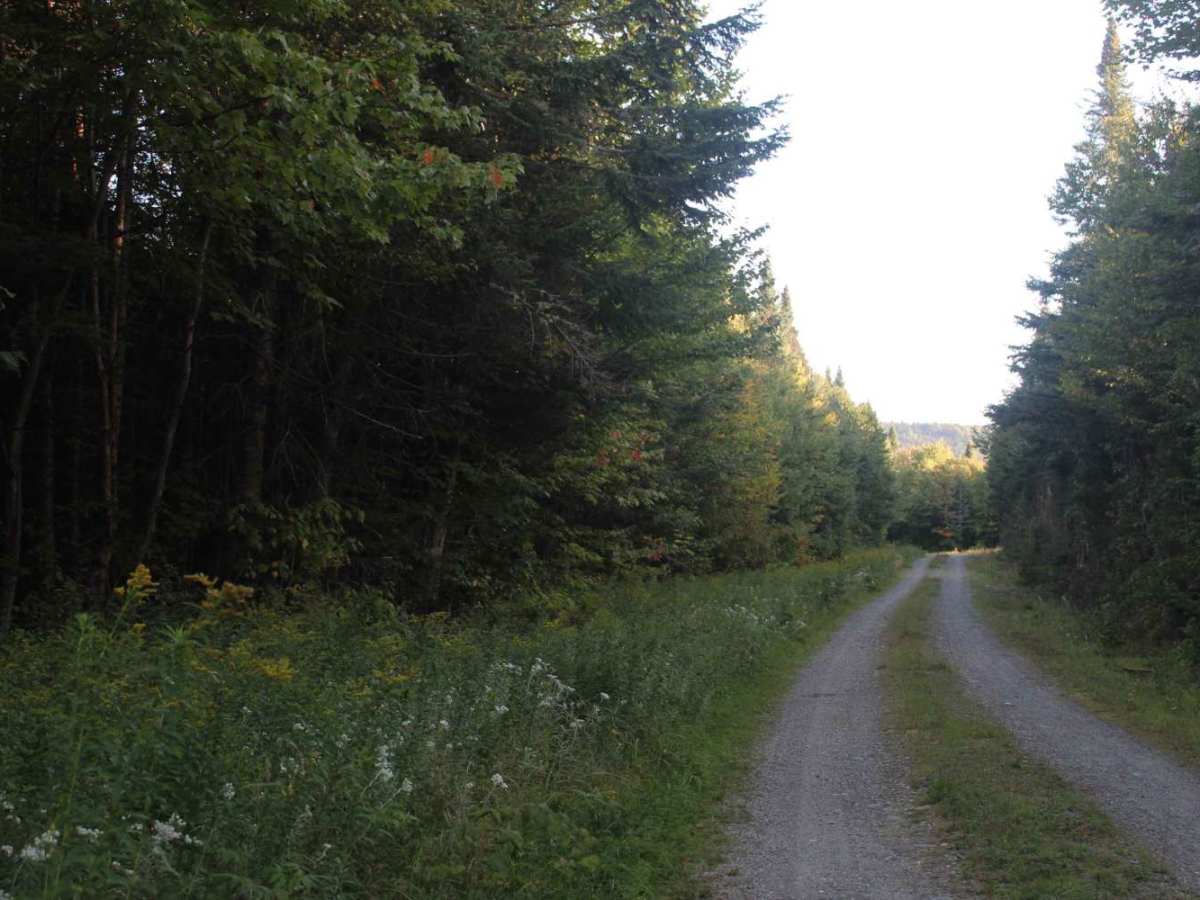 Cozy Brook Road photo 3