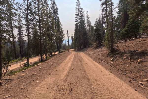 South Fork Tamarack - FS 9s069
