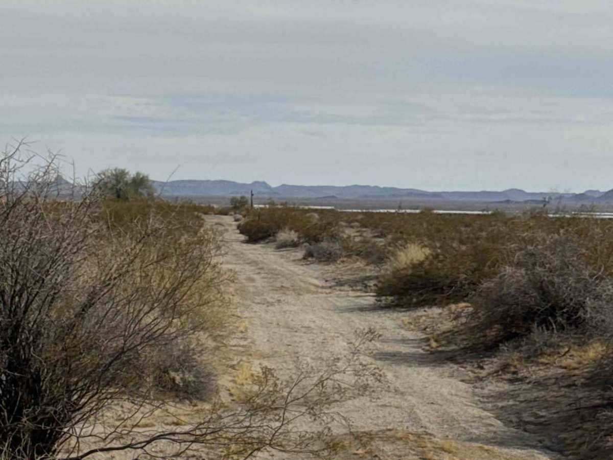 Passmore Gas  photo 3