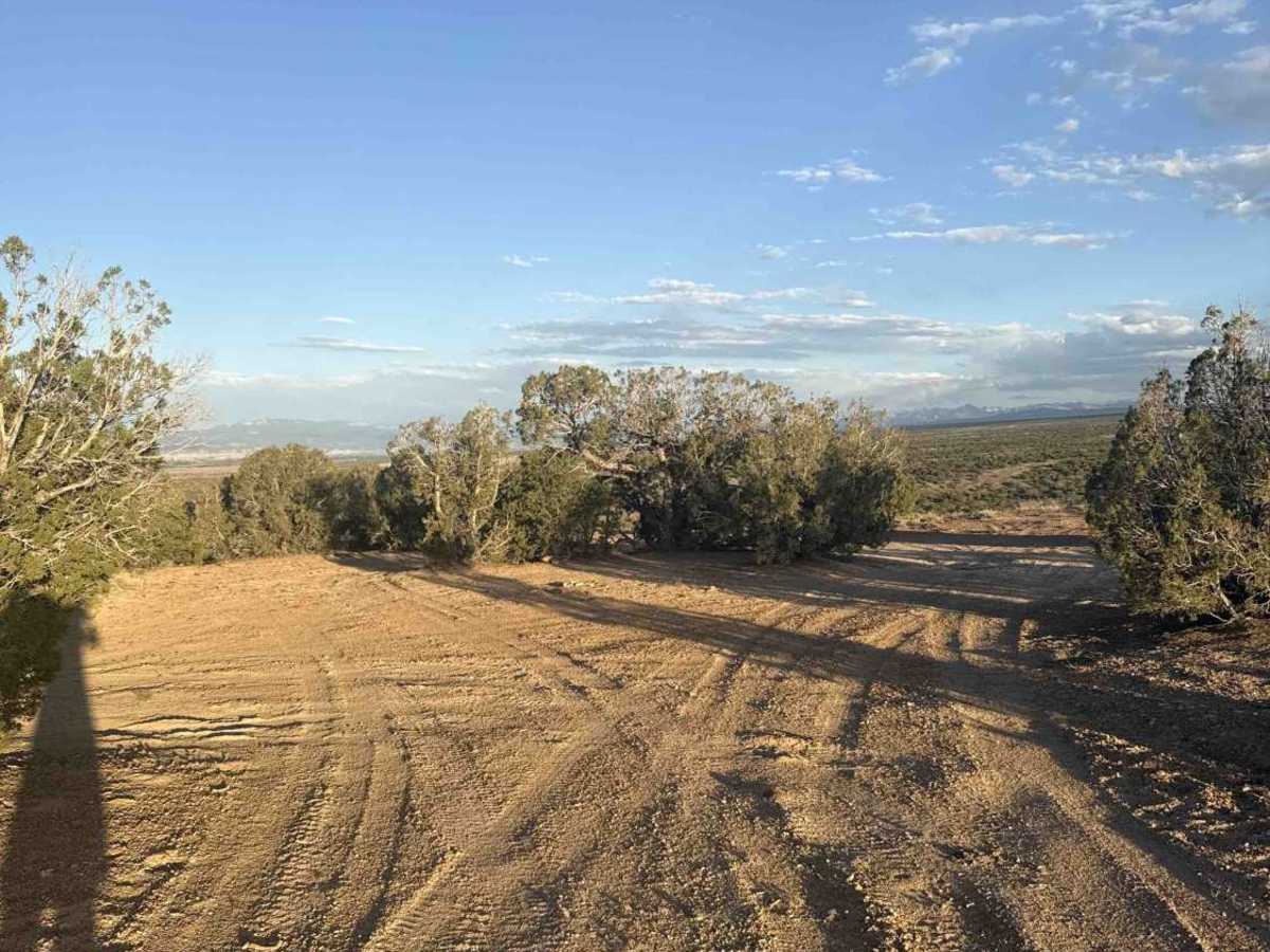 West Transfer Road photo 3
