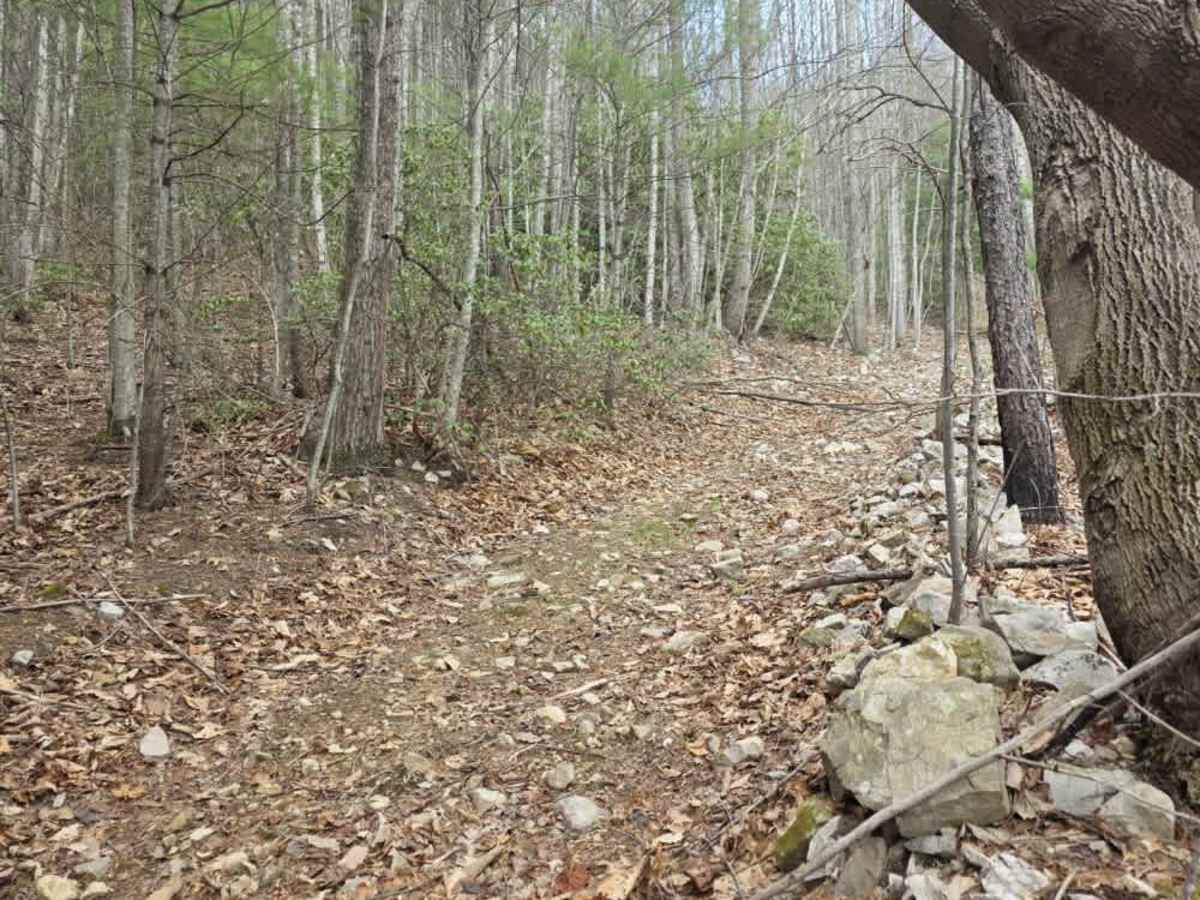 Wheeler Spur photo 3