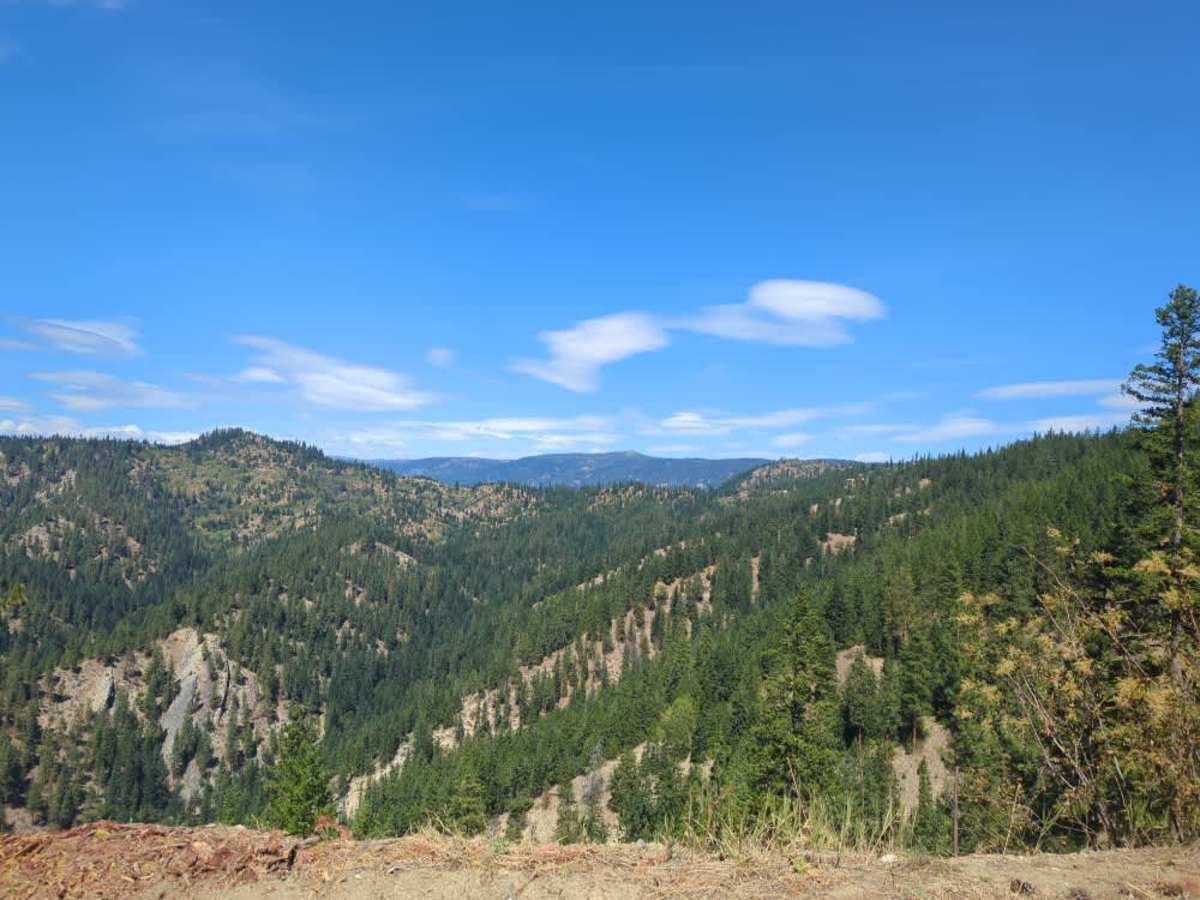 Walker Canyon Road photo 5
