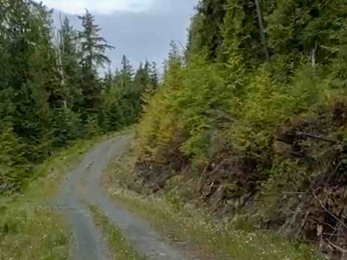 Side Bay Main Part 2 photo 3