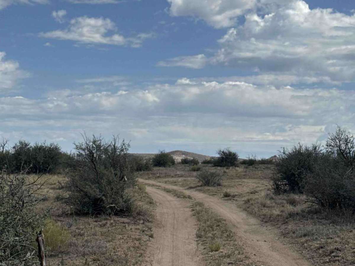 Sandy Gate Wash Trail  photo 2