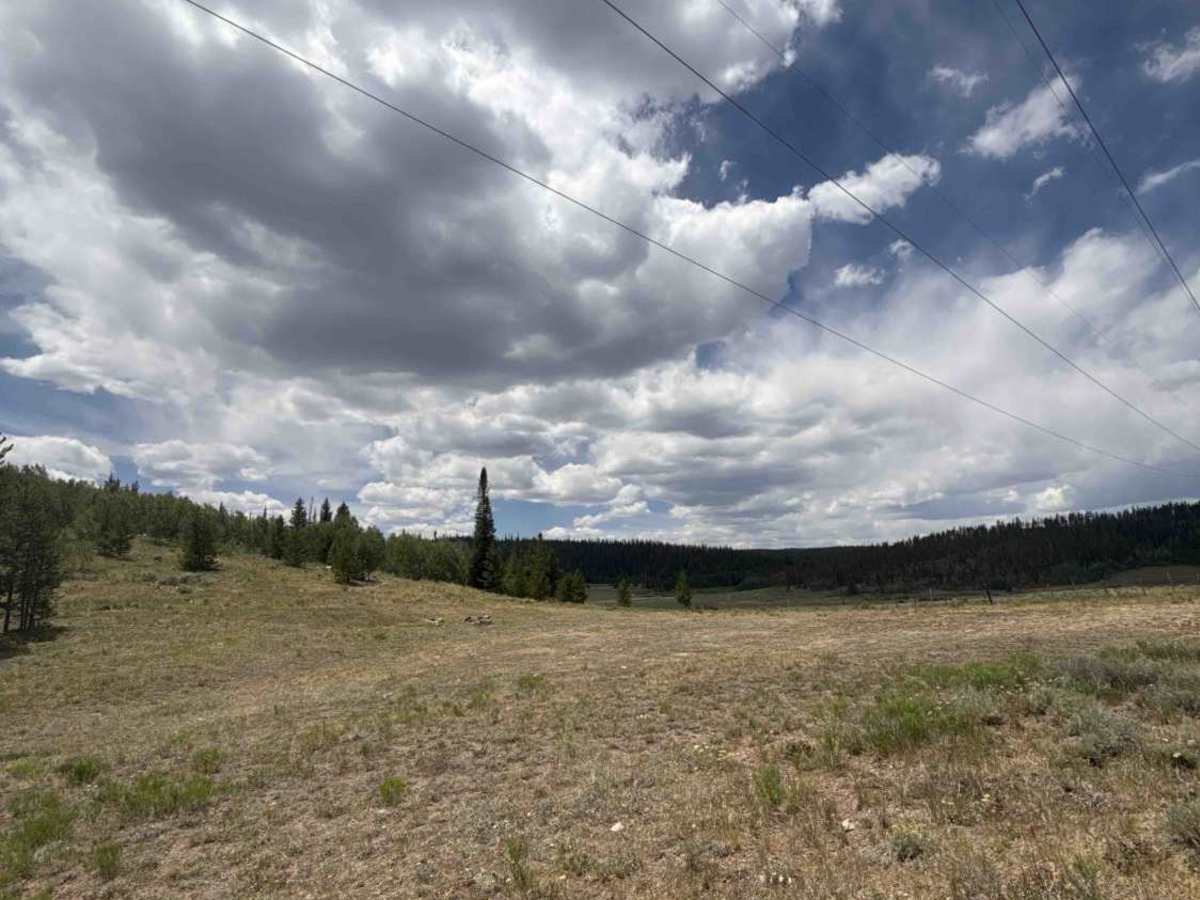 Spruce Divide Road - FS 275 photo 4