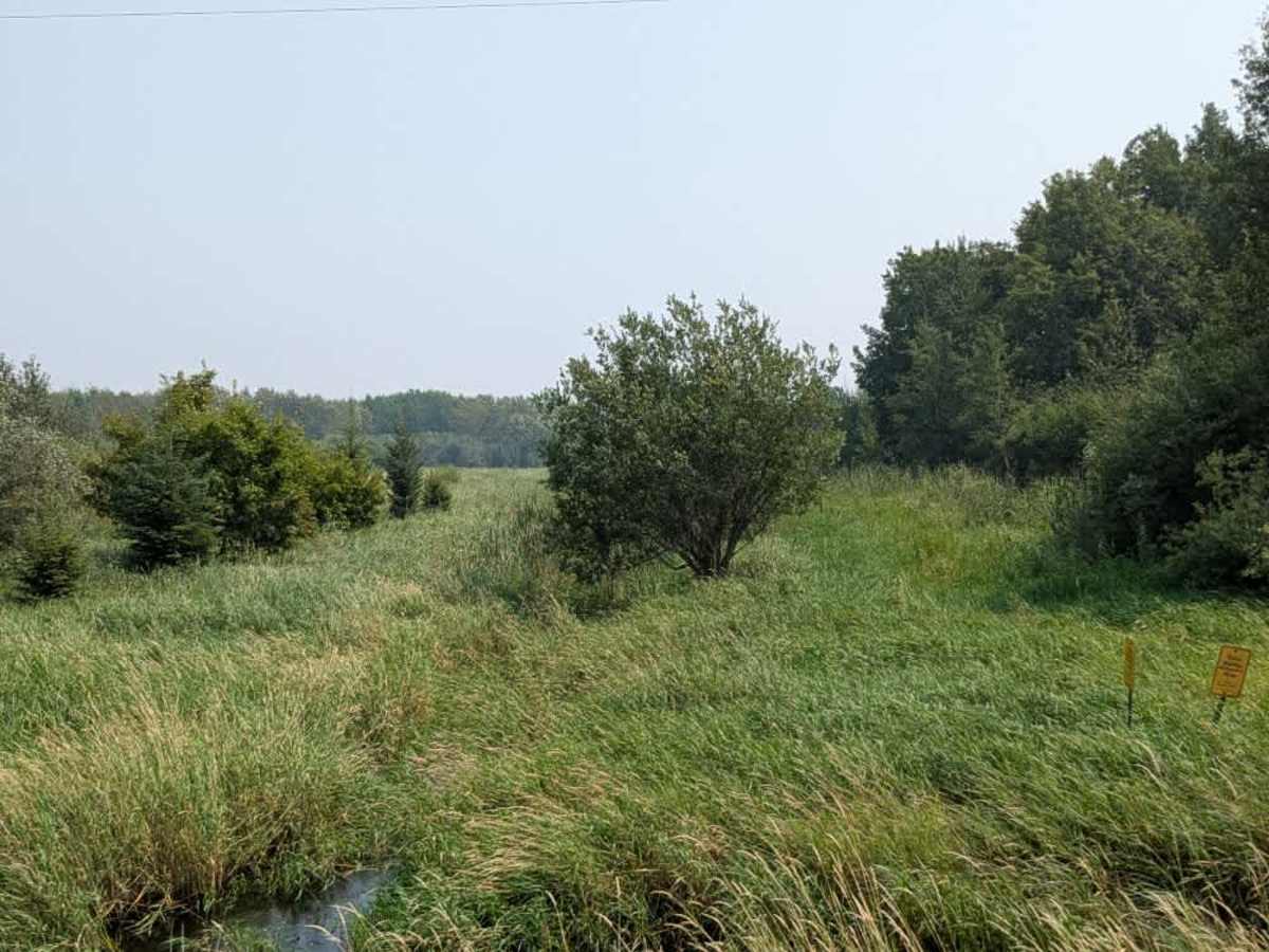Jelle Road photo 6