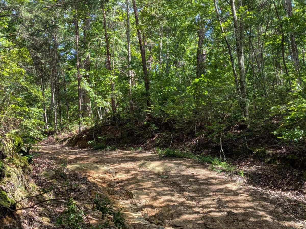 Hicks Gap Road photo 4