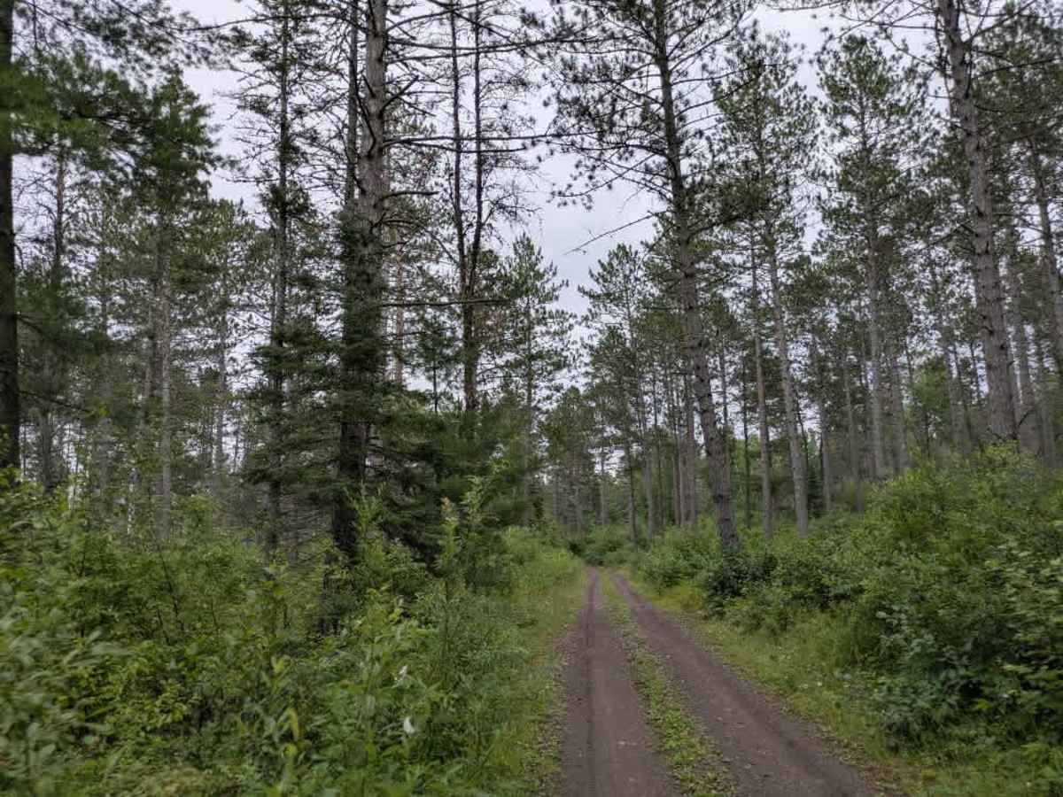 Jackpot Trail photo 3
