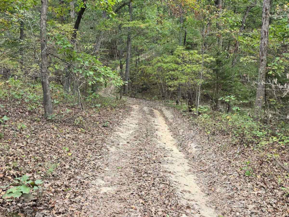 Ledges photo 4