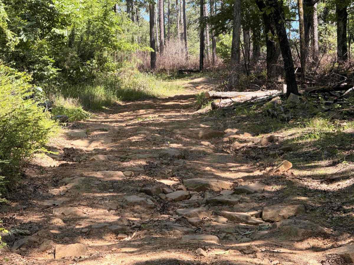 Elmo Creek photo 3