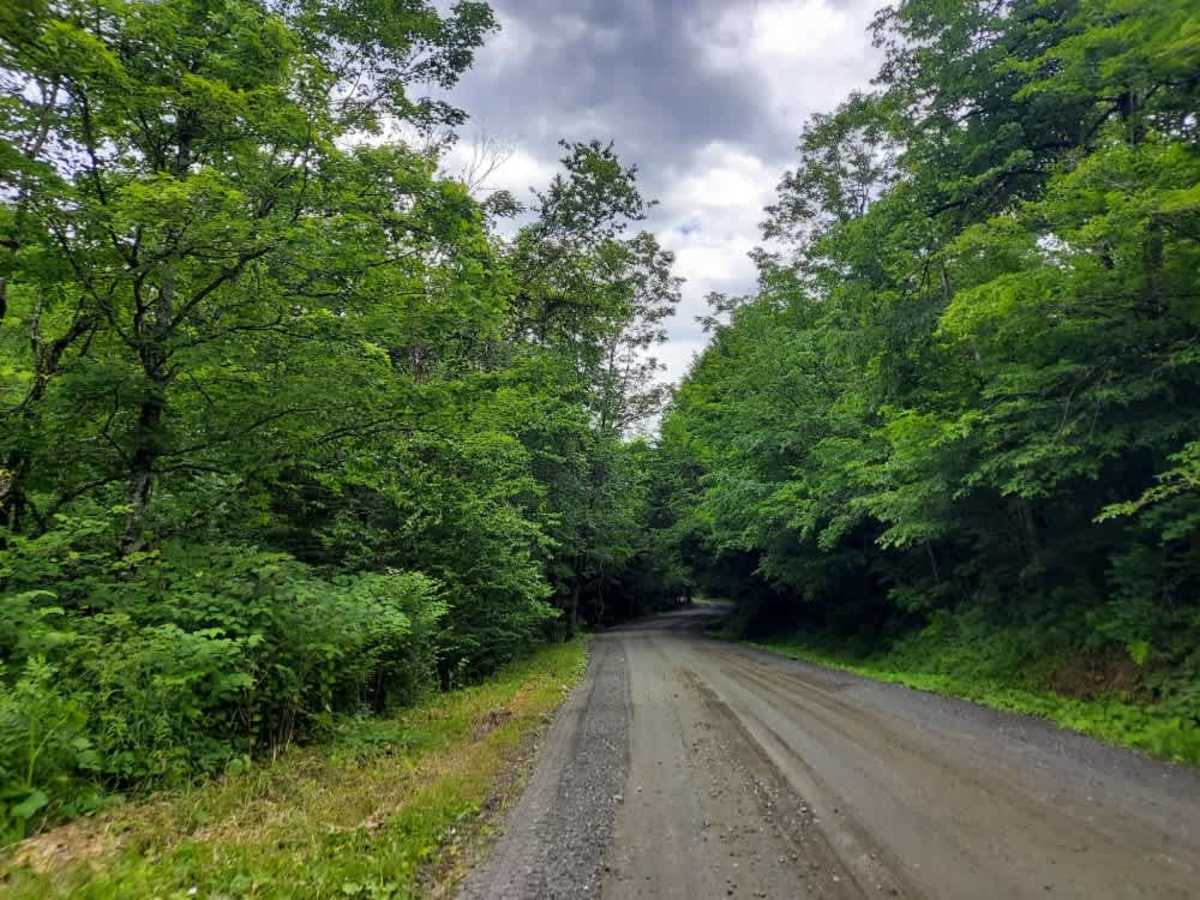 Rix Road photo 5