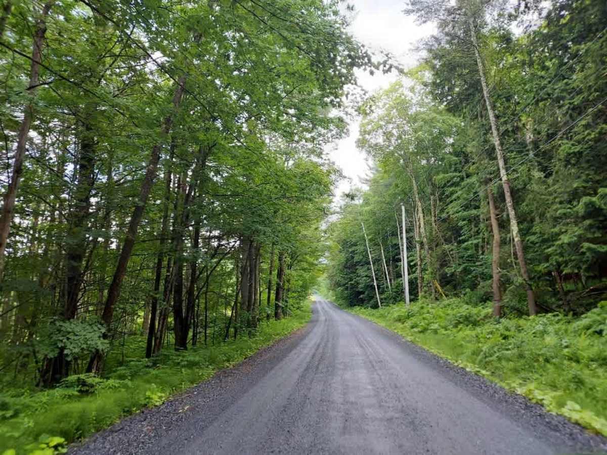 Webster Hill Road photo 4