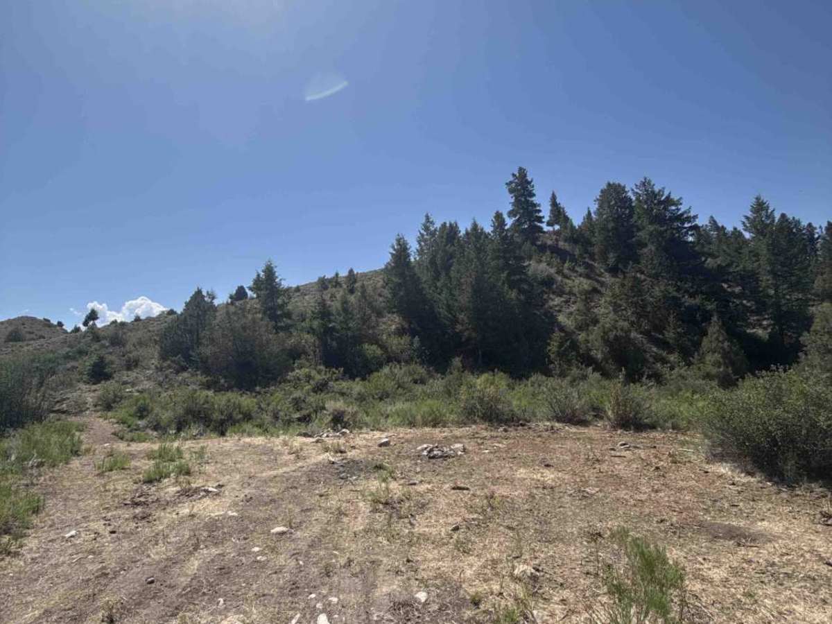 County Road 213 photo 5