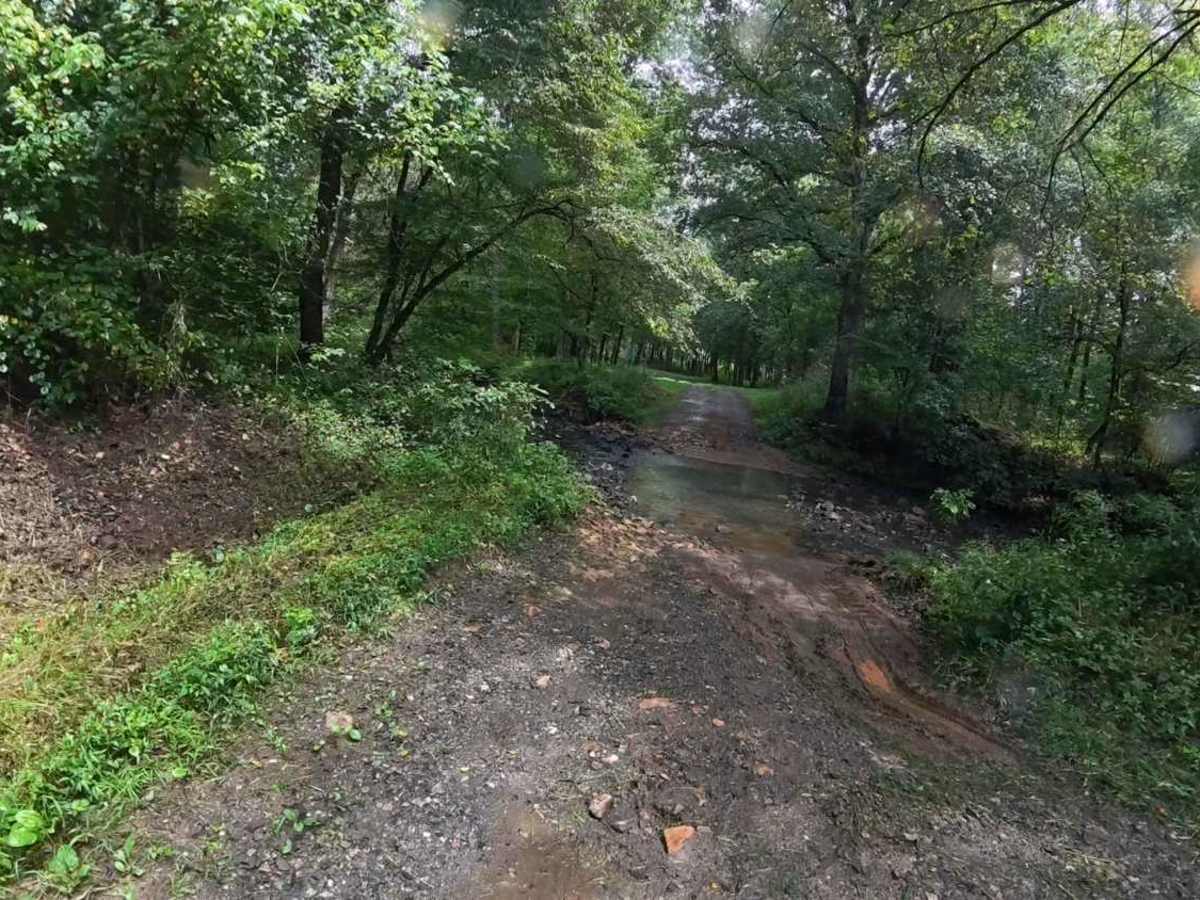 Anderson Bottoms Road trail photo