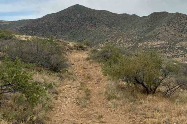 BLM 36046