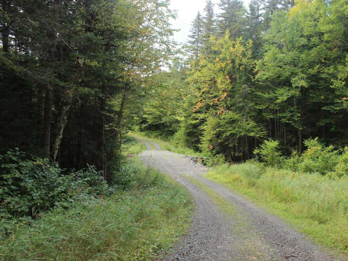 Lamb Valley Brook Trail photo 6
