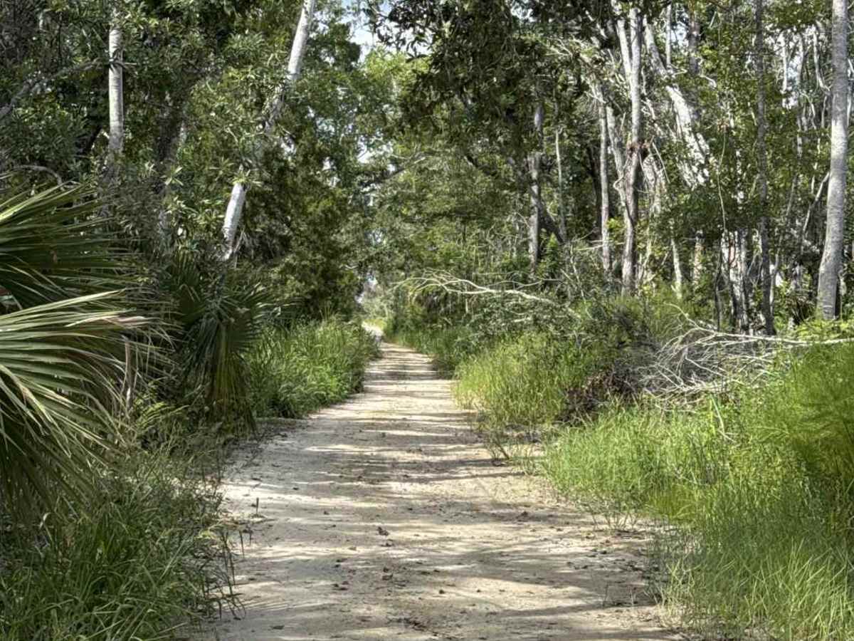 Pump Mainline Road trail photo