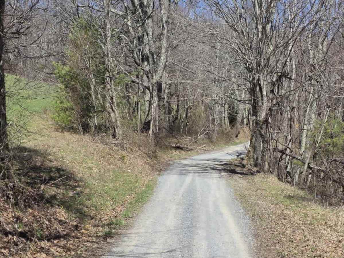 Heaton Branch Road trail photo