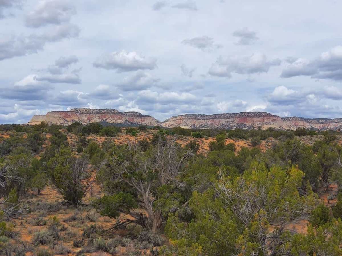 BLM 61 trail photo