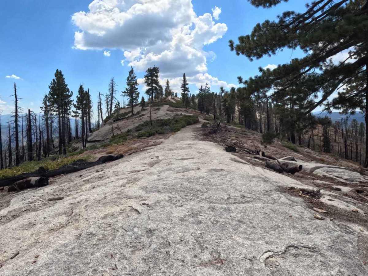 Cattle Mountain - FS 25E207 trail photo