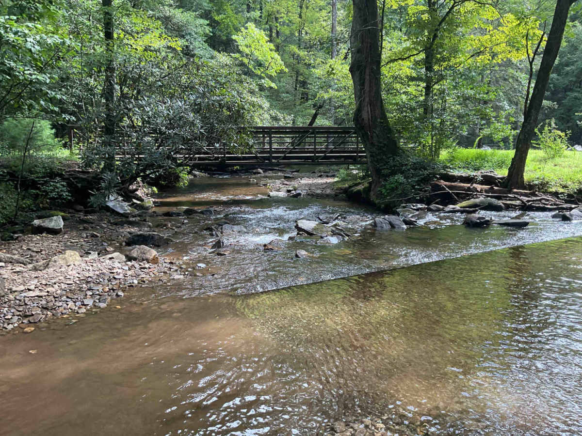 FS-44A Upper Low Gap Creek photo 6