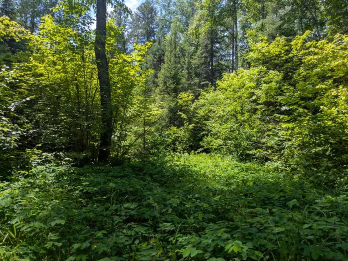 Kane Lake Spur B photo 6
